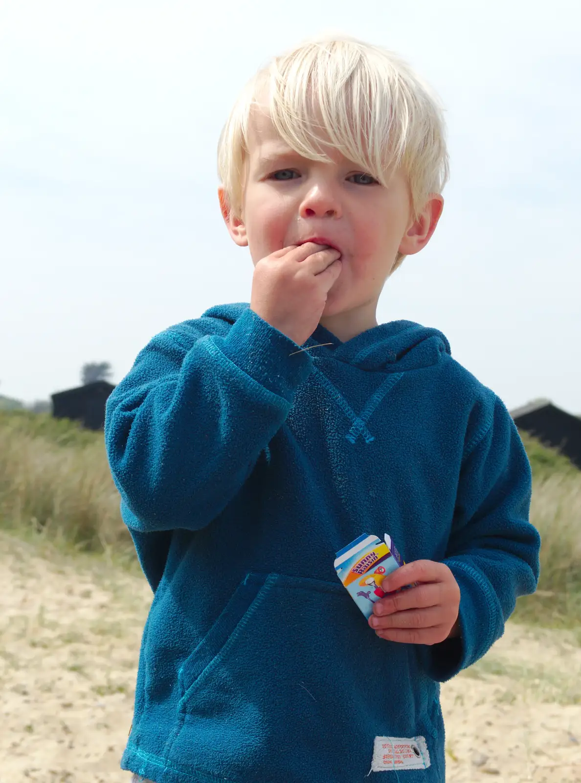 Harry eats raisins (and sand), from Life's A Windy Beach, Walberswick, Suffolk - 5th May 2014