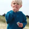 Harry eats raisins (and sand), Life's A Windy Beach, Walberswick, Suffolk - 5th May 2014