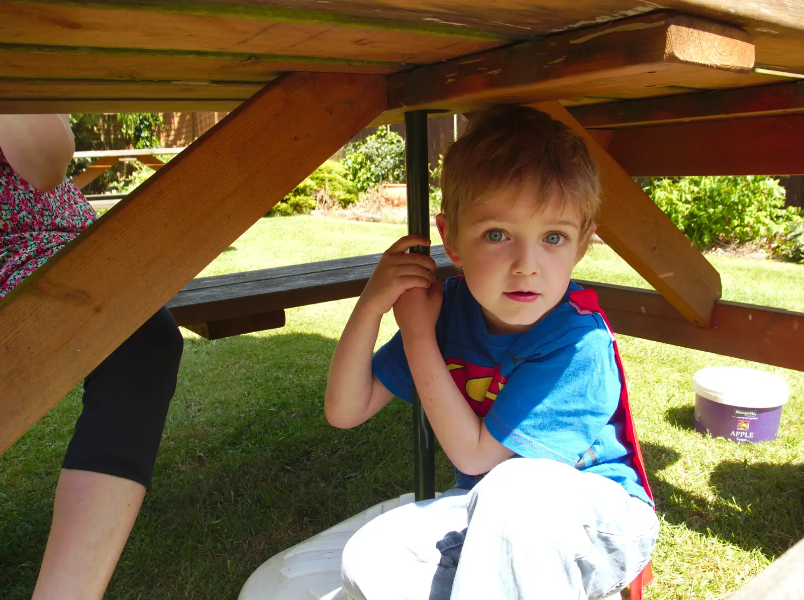 Fred hides under the table, from Thornham Four Horseshoes, and the Oaksmere, Brome, Suffolk - 17th May 2014