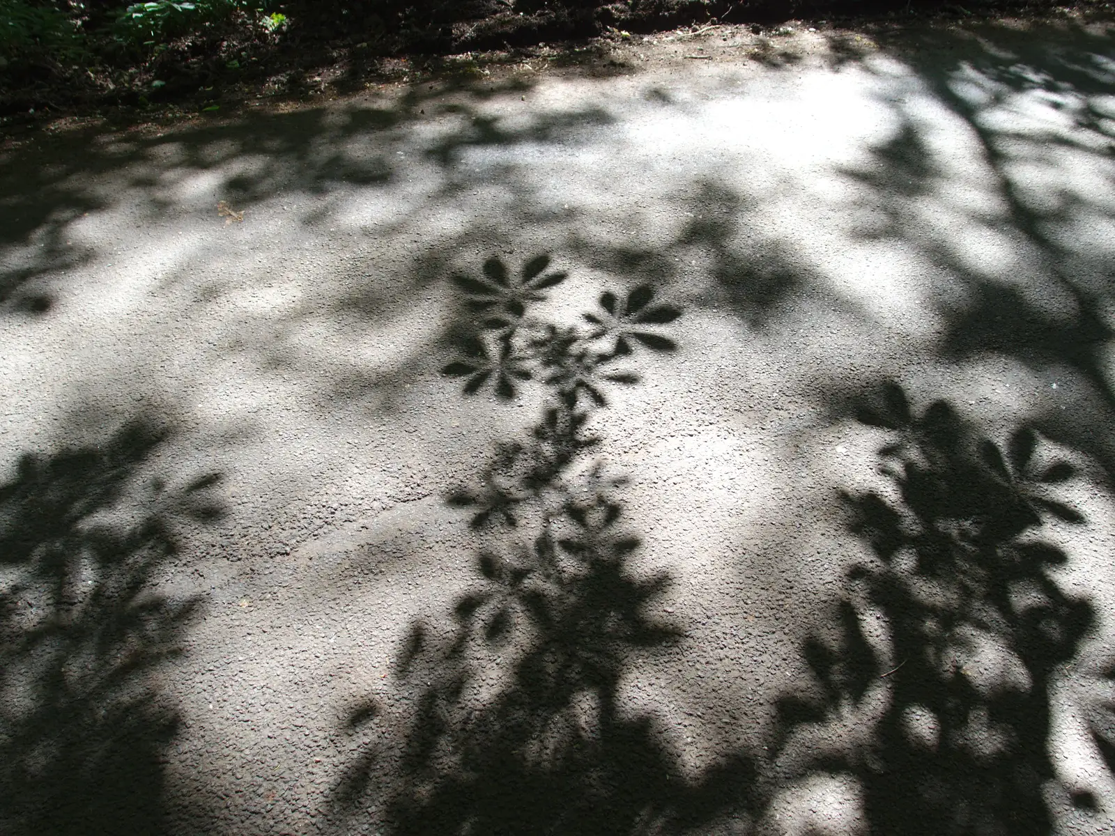 Cool shadows look like stencil prints, from Thornham Four Horseshoes, and the Oaksmere, Brome, Suffolk - 17th May 2014