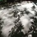 Cool shadows look like stencil prints, Thornham Four Horseshoes, and the Oaksmere, Brome, Suffolk - 17th May 2014