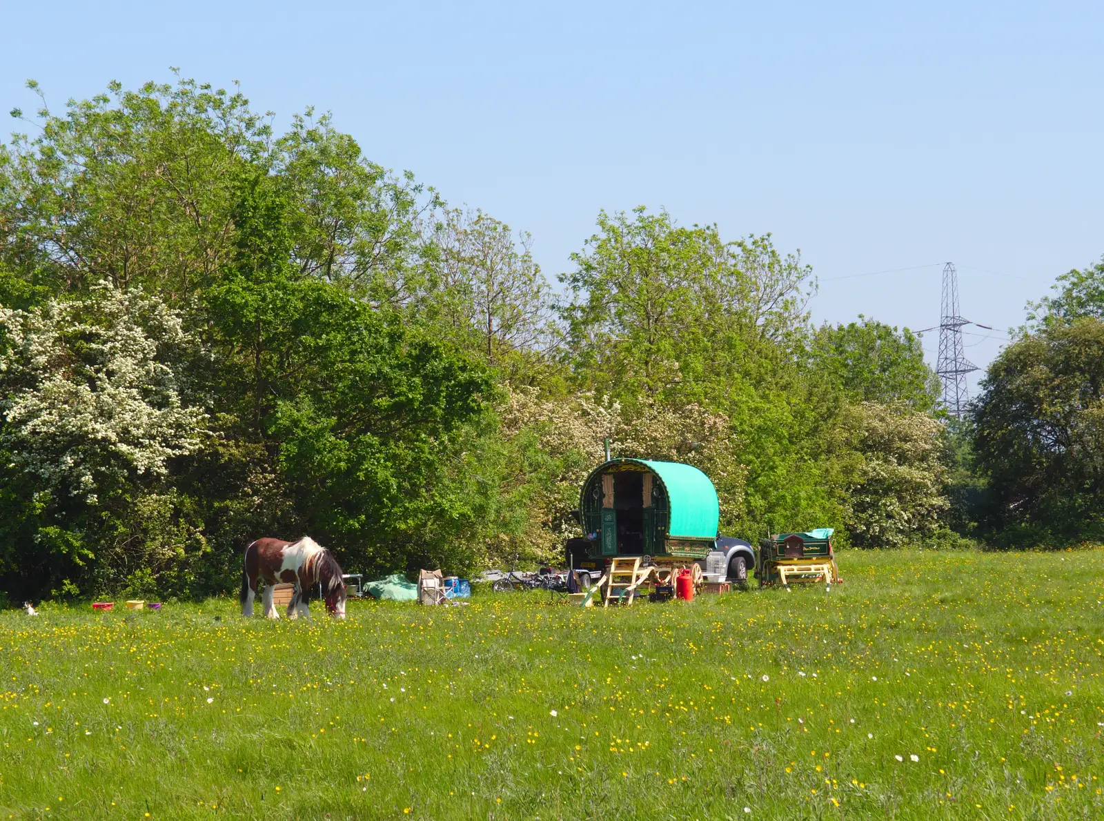 A Gypsy caravan and horse on the common, from Thornham Four Horseshoes, and the Oaksmere, Brome, Suffolk - 17th May 2014