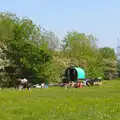 A Gypsy caravan and horse on the common, Thornham Four Horseshoes, and the Oaksmere, Brome, Suffolk - 17th May 2014