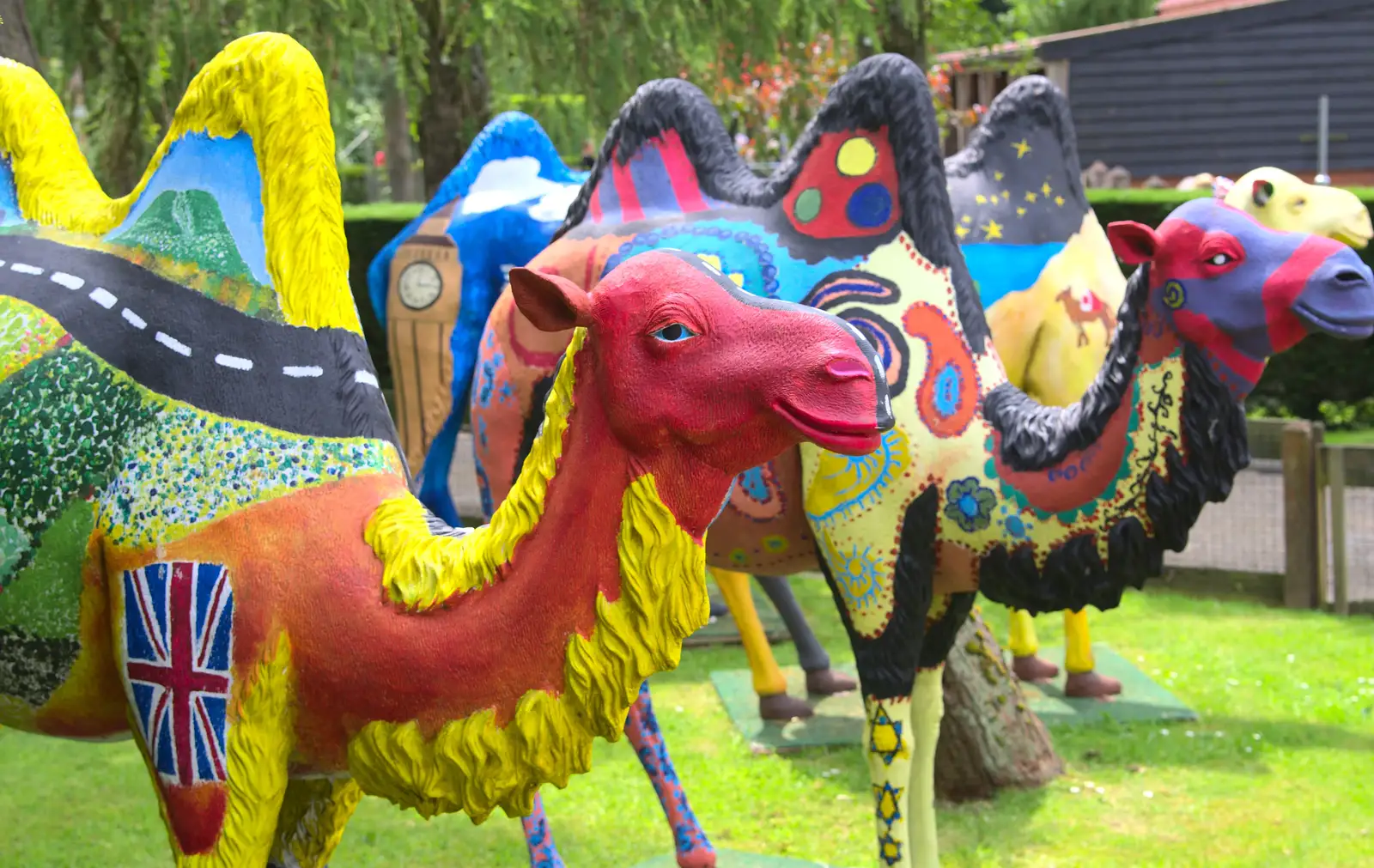 The zombie camels are still there, from A Birthday Trip to the Zoo, Banham, Norfolk - 26th May 2014