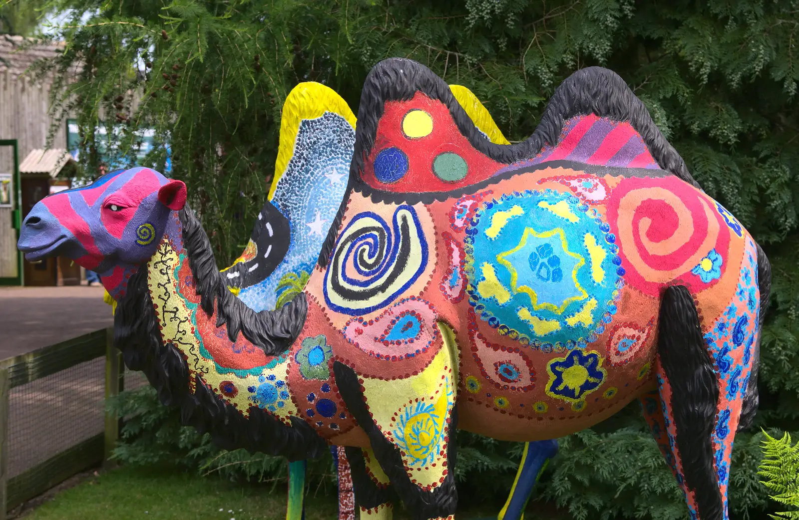 Brightly painted, weird-eyed camel, from A Birthday Trip to the Zoo, Banham, Norfolk - 26th May 2014