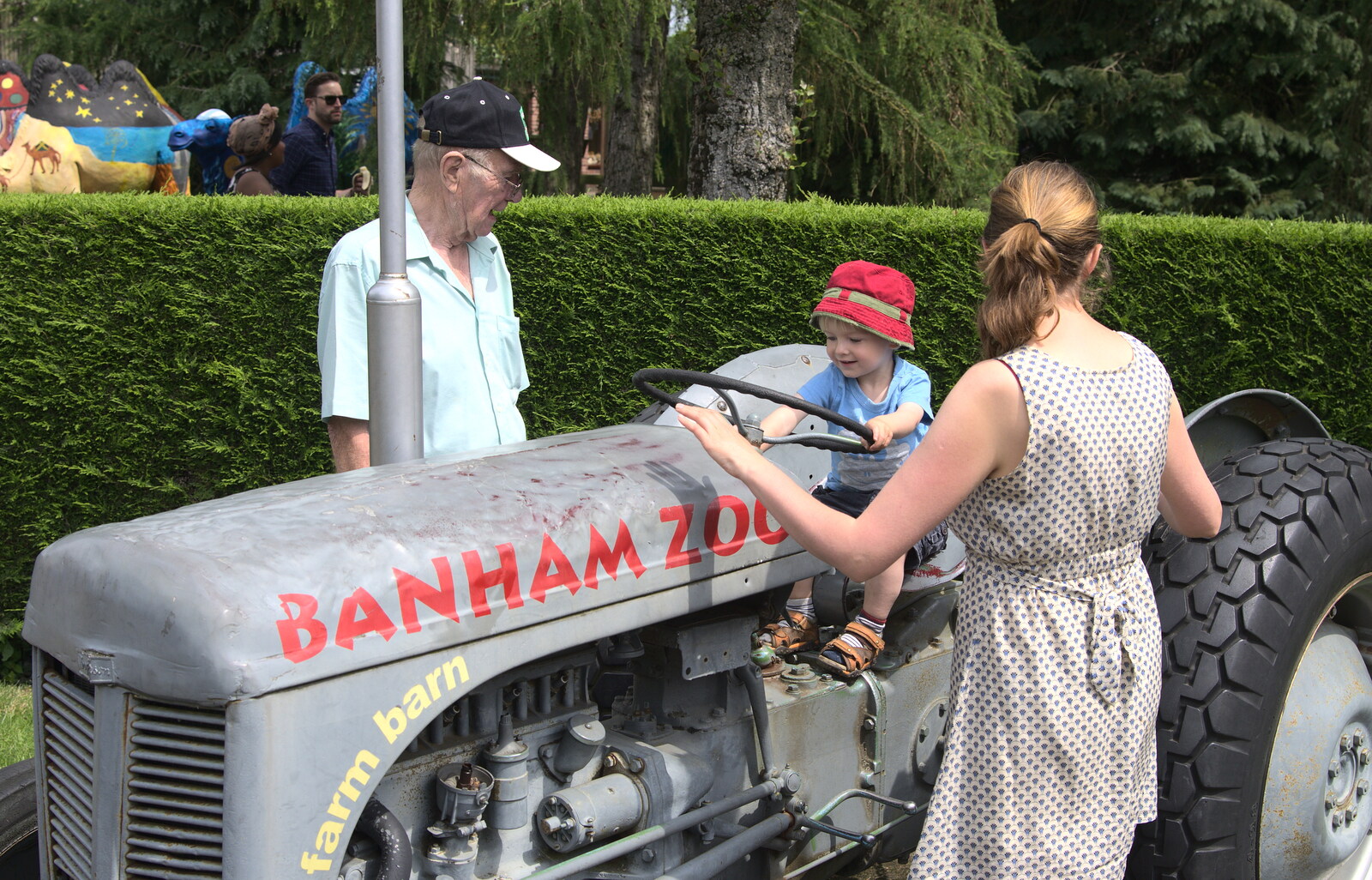 A Birthday Trip to the Zoo, Banham, Norfolk - 26th May 2014: Harry has a go on the Little Grey Fergie