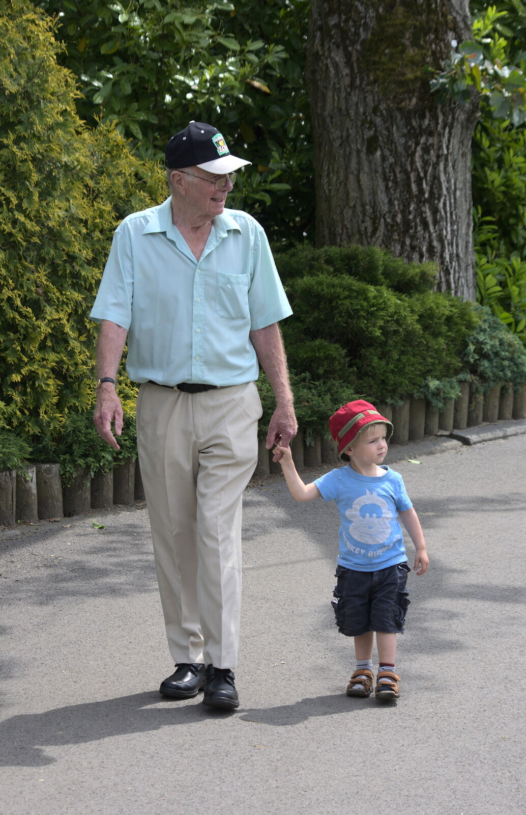 A Birthday Trip to the Zoo, Banham, Norfolk - 26th May 2014: Grandad and Harry walk around