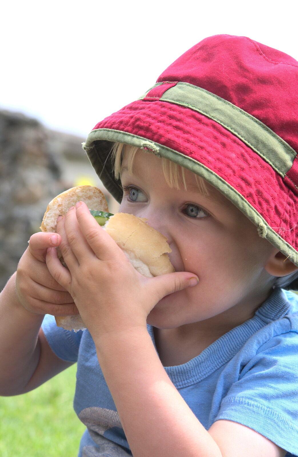 A Birthday Trip to the Zoo, Banham, Norfolk - 26th May 2014: Harry stuffs a sandwich in to his face
