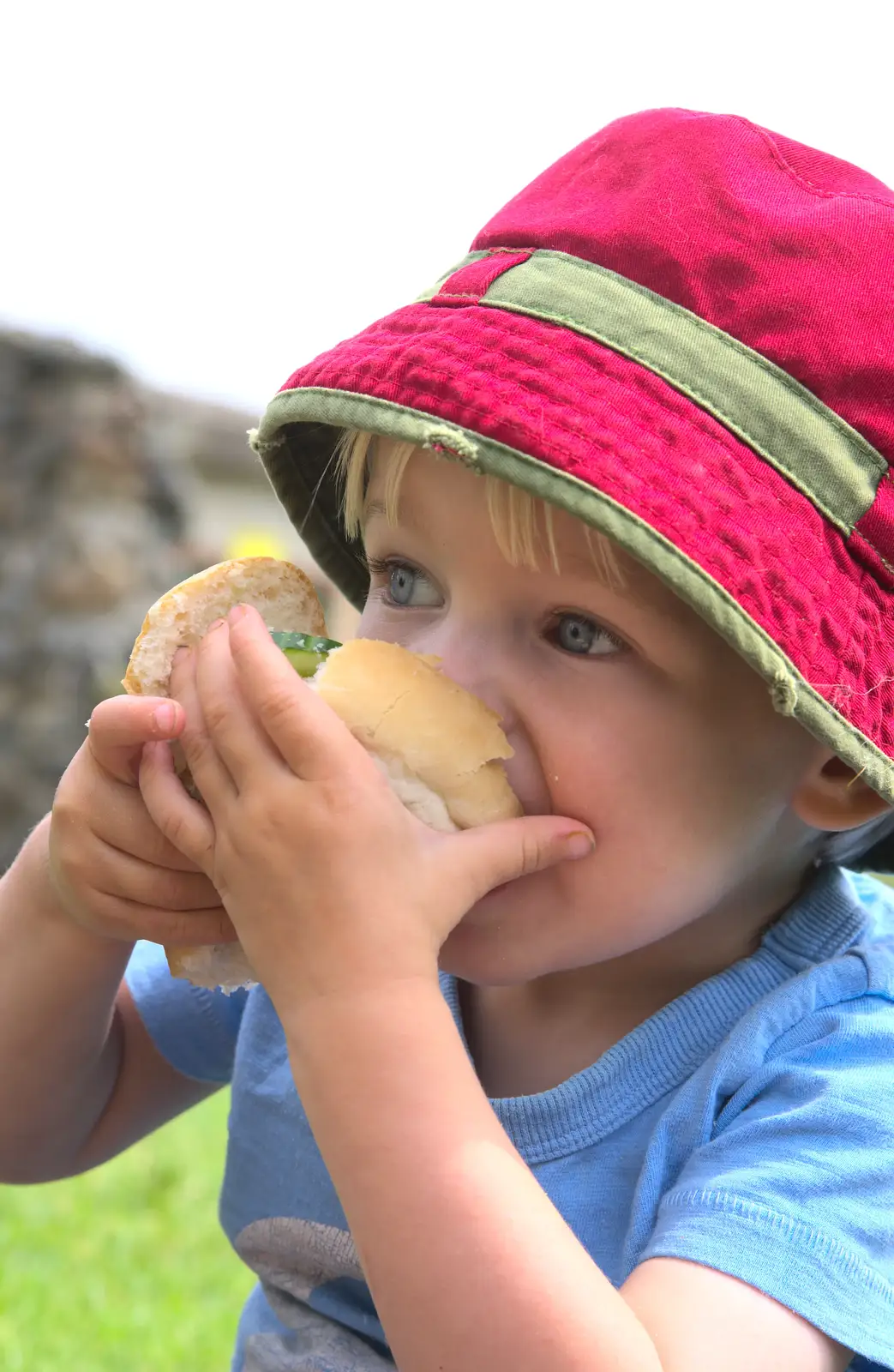 Harry stuffs a sandwich in to his face, from A Birthday Trip to the Zoo, Banham, Norfolk - 26th May 2014