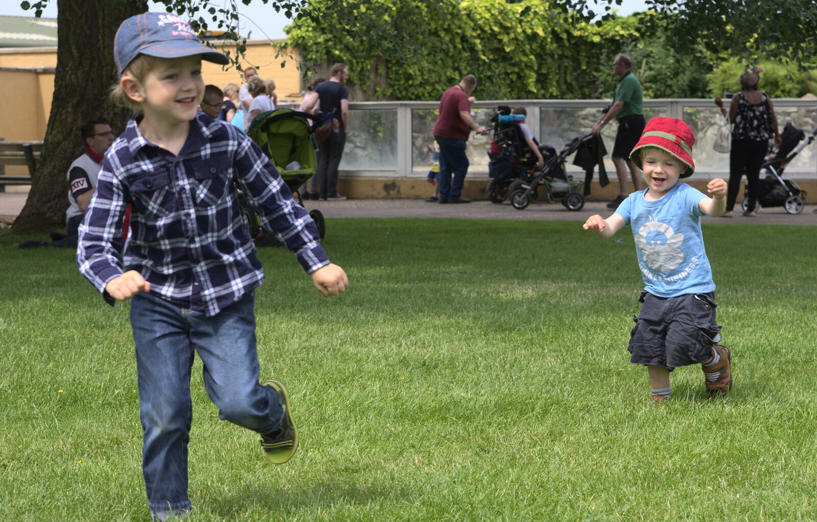 Fred and Harry run around from A Birthday Trip to the Zoo, Banham, Norfolk - 26th May 2014