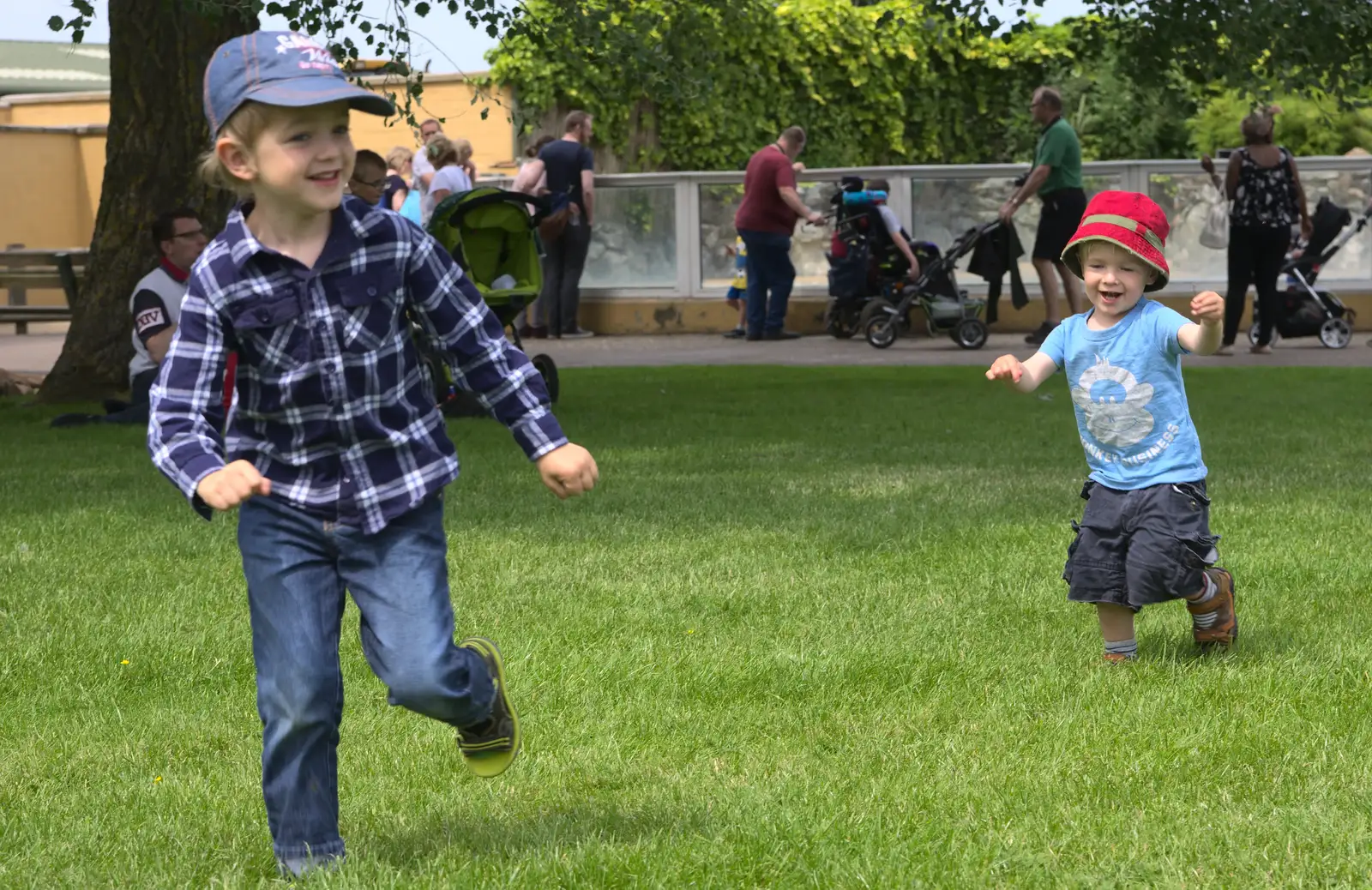 Fred and Harry run around, from A Birthday Trip to the Zoo, Banham, Norfolk - 26th May 2014