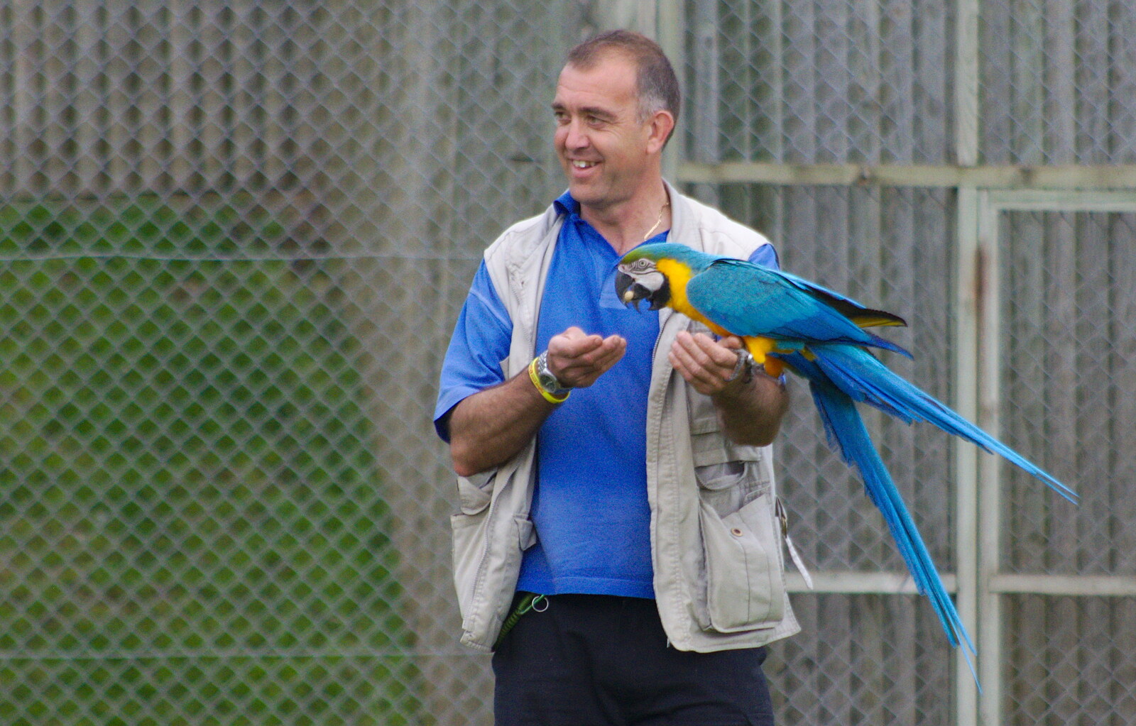 At the bird display, a parrot gets a treat from A Birthday Trip to the Zoo, Banham, Norfolk - 26th May 2014