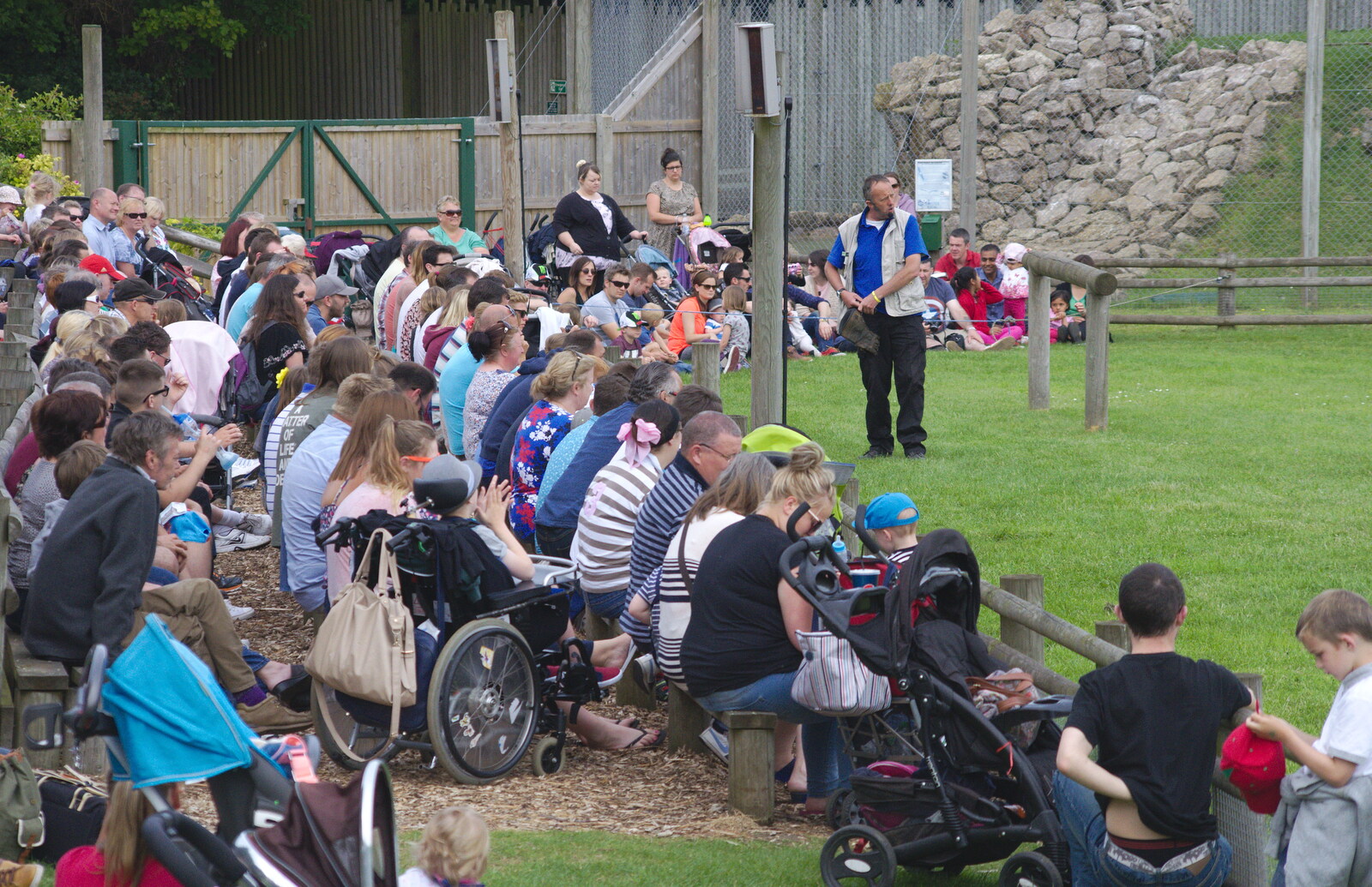 A Birthday Trip to the Zoo, Banham, Norfolk - 26th May 2014: Crowds at the bird display