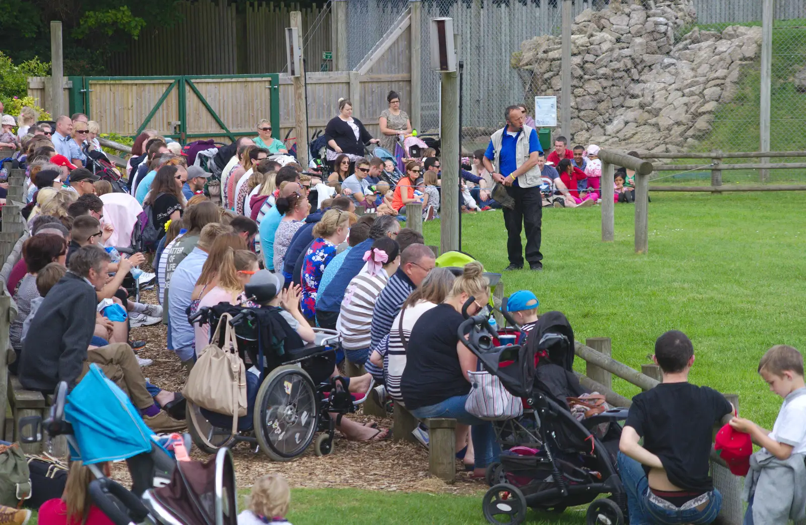 Crowds at the bird display, from A Birthday Trip to the Zoo, Banham, Norfolk - 26th May 2014