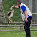 A Birthday Trip to the Zoo, Banham, Norfolk - 26th May 2014, A snake-eating bird leaps up for a treat