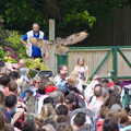 A Birthday Trip to the Zoo, Banham, Norfolk - 26th May 2014, The Eagle Owl flies low over the crowds
