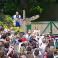 The Eagle Owl flies low over the crowds, A Birthday Trip to the Zoo, Banham, Norfolk - 26th May 2014