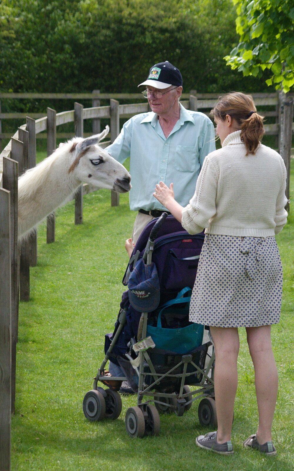 Grandad strokes a llama from A Birthday Trip to the Zoo, Banham, Norfolk - 26th May 2014