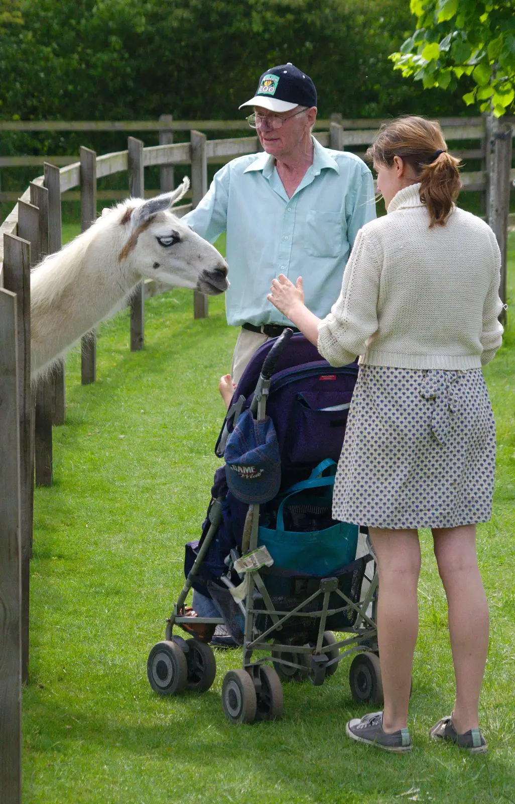 Grandad strokes a llama, from A Birthday Trip to the Zoo, Banham, Norfolk - 26th May 2014