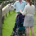 Grandad strokes a llama, A Birthday Trip to the Zoo, Banham, Norfolk - 26th May 2014