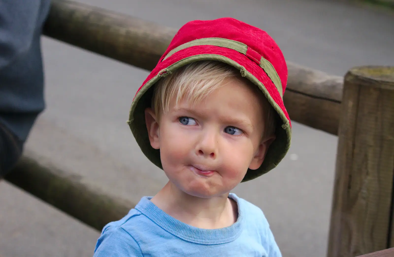 Harry makes a face, from A Birthday Trip to the Zoo, Banham, Norfolk - 26th May 2014