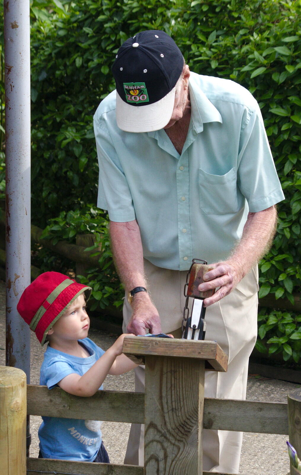 Grandad helps Harry with his passport stamp from A Birthday Trip to the Zoo, Banham, Norfolk - 26th May 2014