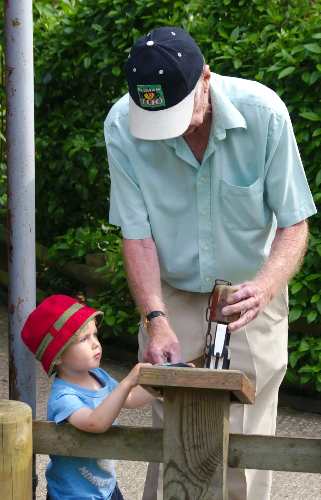 Grandad helps Harry with his passport stamp, from A Birthday Trip to the Zoo, Banham, Norfolk - 26th May 2014