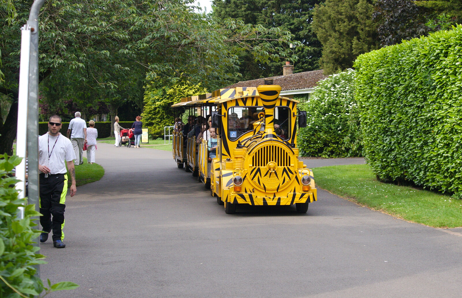 A Birthday Trip to the Zoo, Banham, Norfolk - 26th May 2014: The land train does a tour around