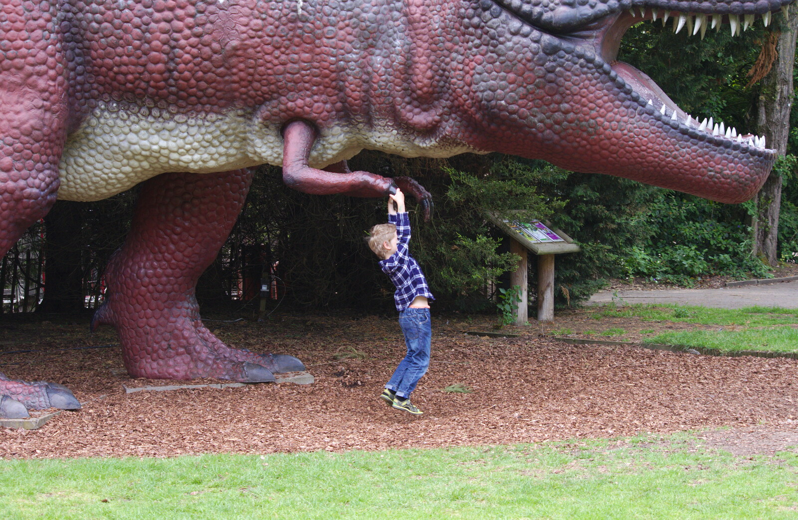 Fred hangs off a Tyrannosaurus Rex from A Birthday Trip to the Zoo, Banham, Norfolk - 26th May 2014