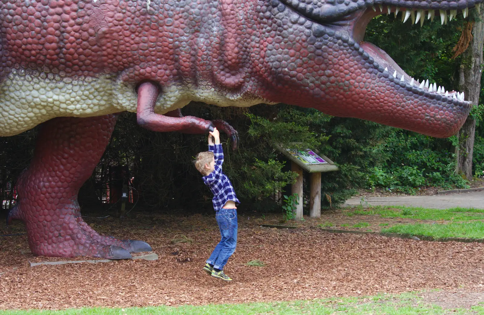 Fred hangs off a Tyrannosaurus Rex, from A Birthday Trip to the Zoo, Banham, Norfolk - 26th May 2014