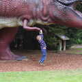 A Birthday Trip to the Zoo, Banham, Norfolk - 26th May 2014, Fred hangs off a Tyrannosaurus Rex