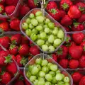 A nice contrast of strawberries and gooseberries, Sis and Matt Visit, Suffolk and Norfolk - 31st May 2014