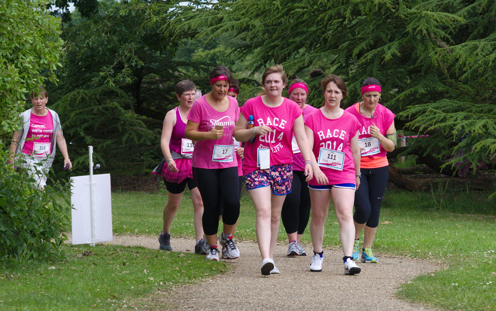 A gang ofwalkers from Isobel's Race For Life, Chantry Park, Ipswich - 11th June 2014