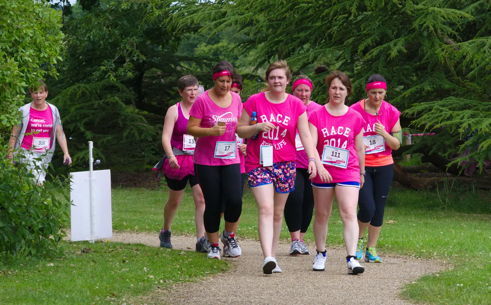 A gang ofwalkers, from Isobel's Race For Life, Chantry Park, Ipswich - 11th June 2014