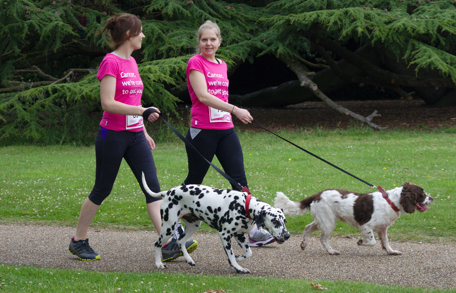 Everybody's walkin' the dog from Isobel's Race For Life, Chantry Park, Ipswich - 11th June 2014