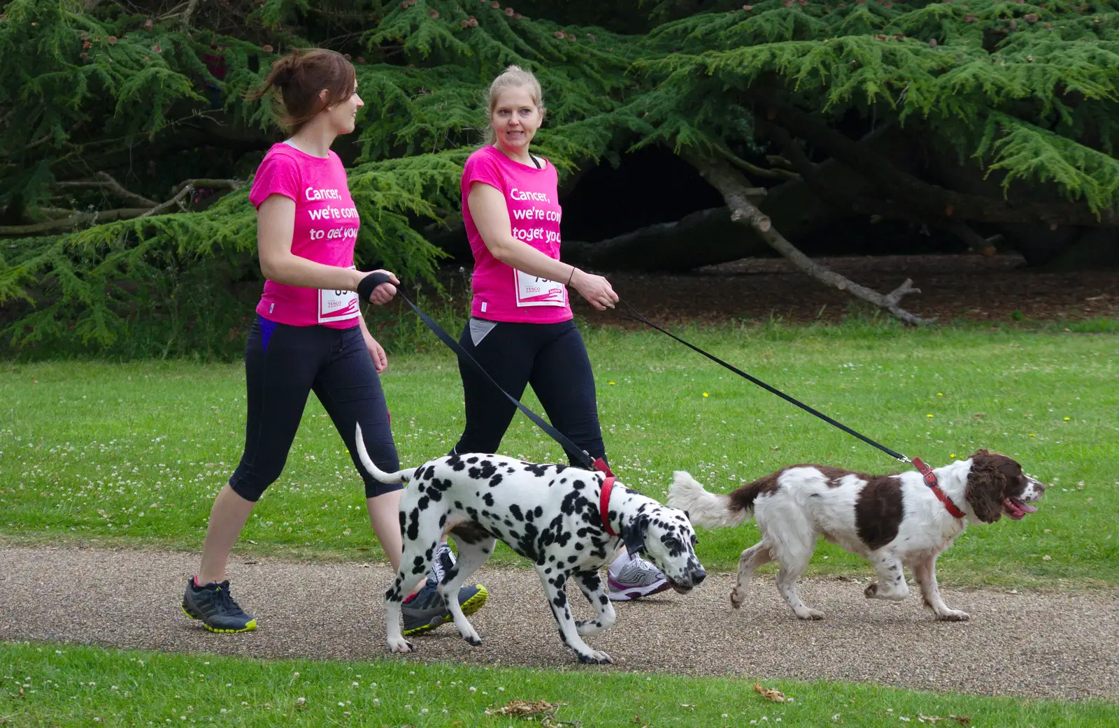 Everybody's walkin' the dog, from Isobel's Race For Life, Chantry Park, Ipswich - 11th June 2014