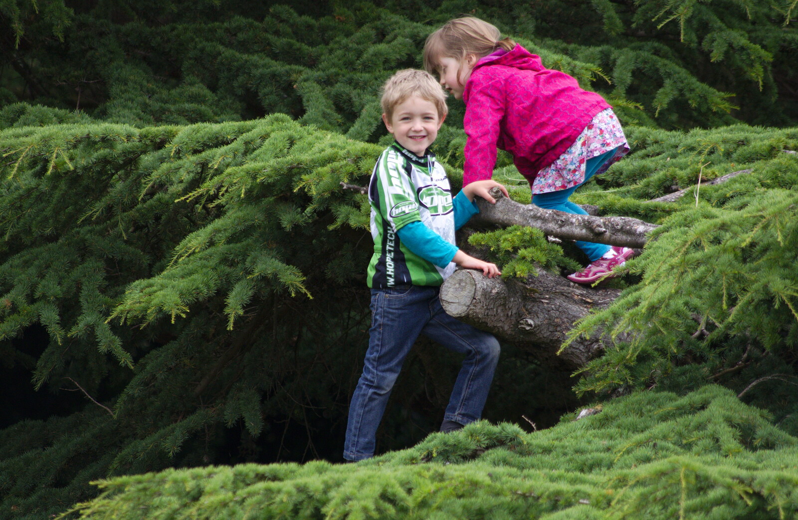 Fred and his ten-minute-chum climb a tree from Isobel's Race For Life, Chantry Park, Ipswich - 11th June 2014