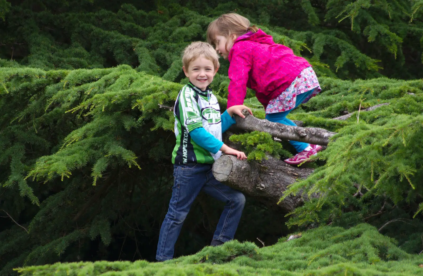 Fred and his ten-minute-chum climb a tree, from Isobel's Race For Life, Chantry Park, Ipswich - 11th June 2014