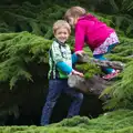 Fred and his ten-minute-chum climb a tree, Isobel's Race For Life, Chantry Park, Ipswich - 11th June 2014