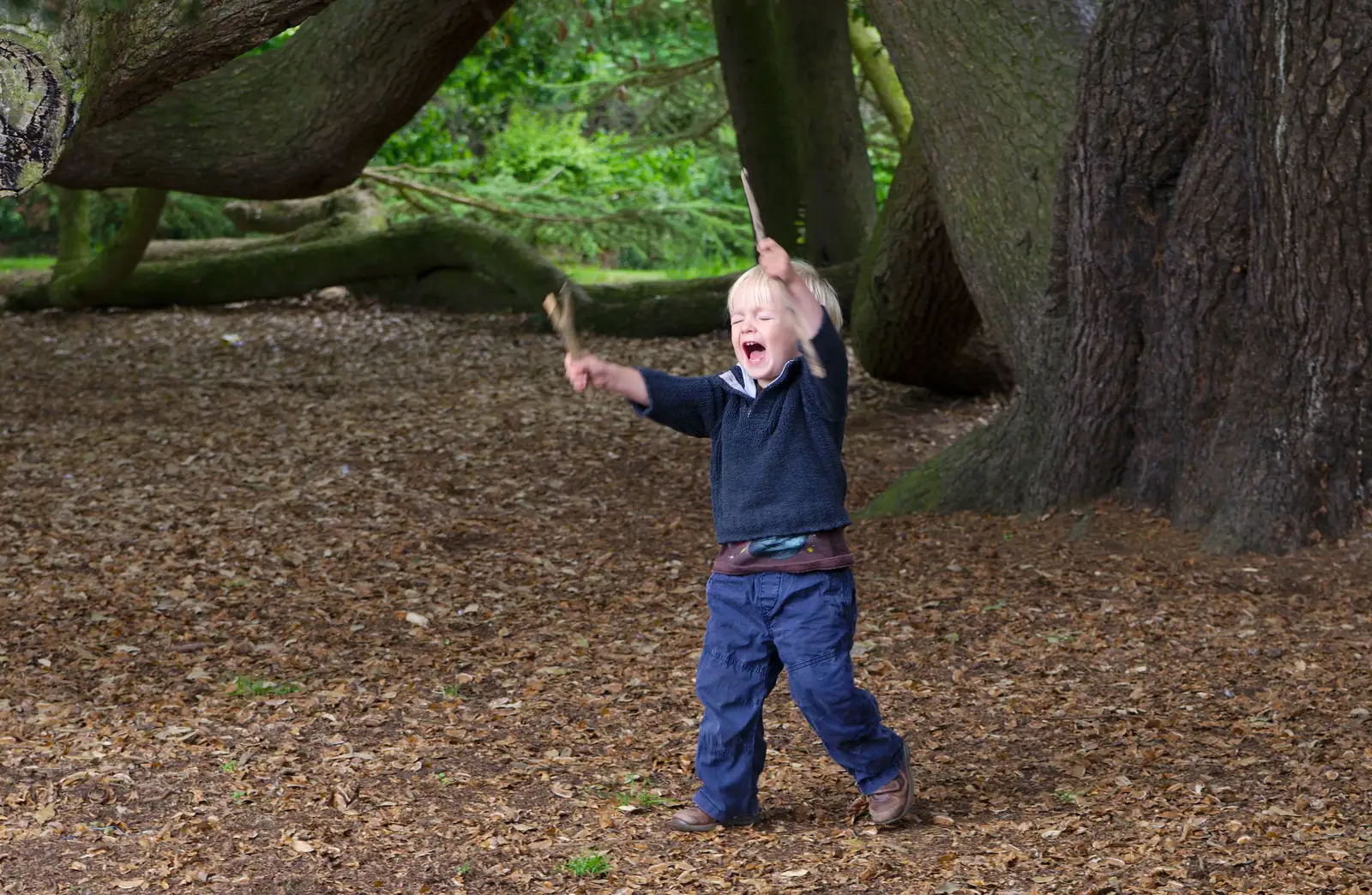 Harry unleashes his 'inner roar', from Isobel's Race For Life, Chantry Park, Ipswich - 11th June 2014