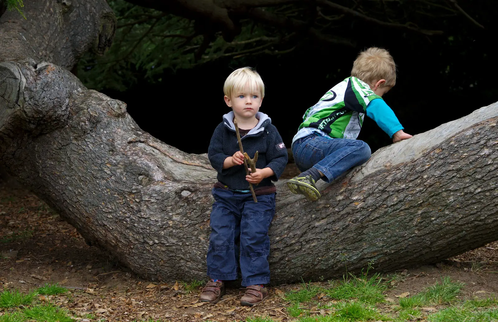 Fred and Harry, sitting in a tree, f-i-g-h-ti-n-g, from Isobel's Race For Life, Chantry Park, Ipswich - 11th June 2014