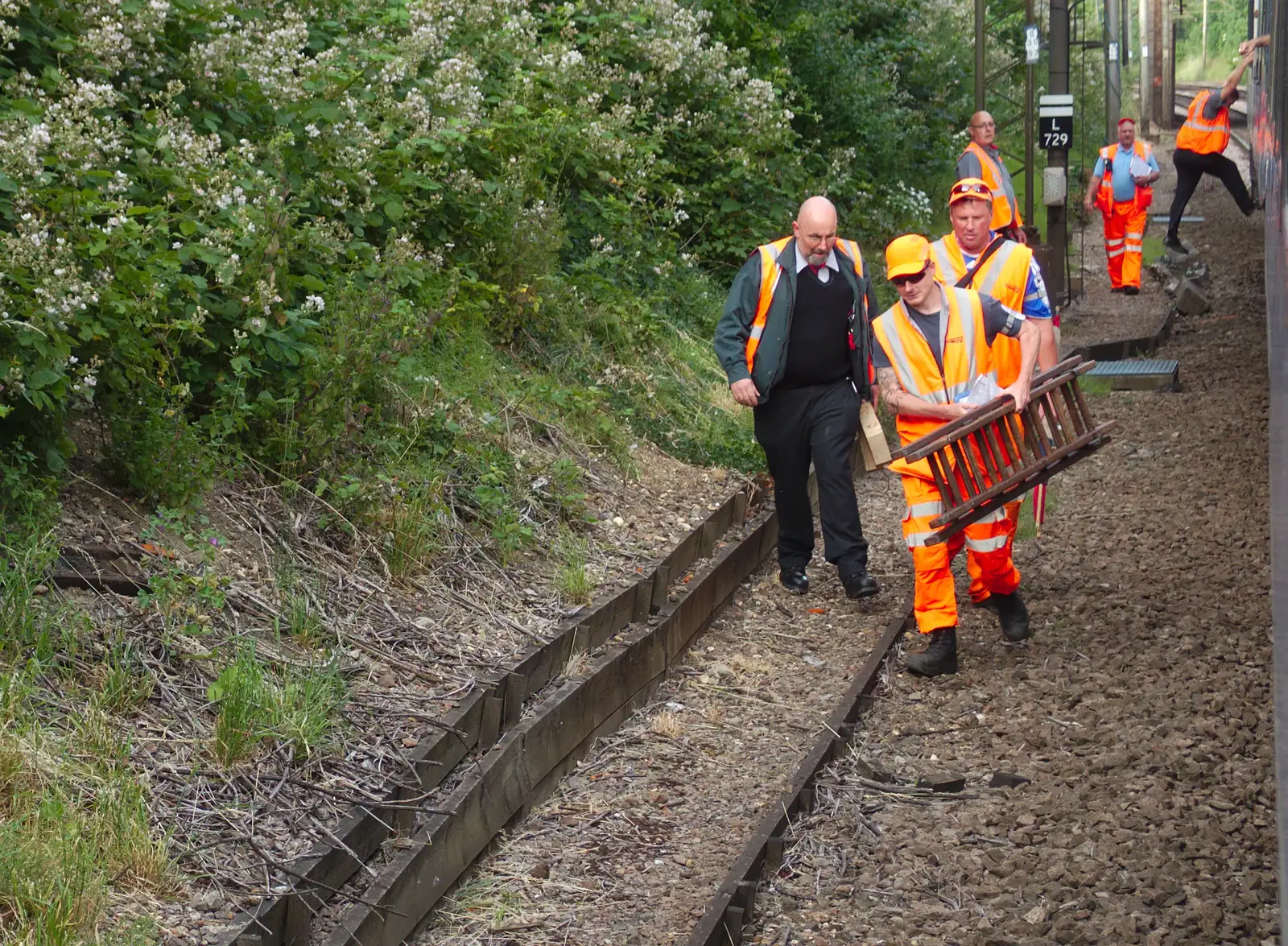 A ladder is hauled out, just in case, from Railway Hell: A Pantograph Story, Chelmsford, Essex - 17th June 2014