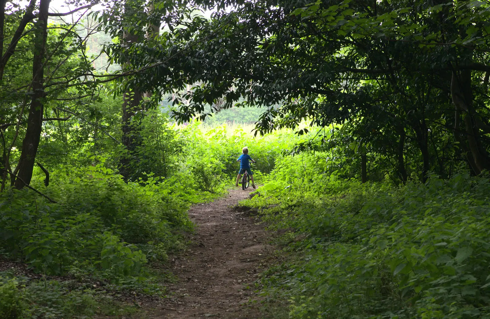 Fred heads off in to the woods, from A Weekend in the Camper Van, West Harling, Norfolk - 21st June 2014