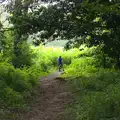 Fred heads off in to the woods, A Weekend in the Camper Van, West Harling, Norfolk - 21st June 2014