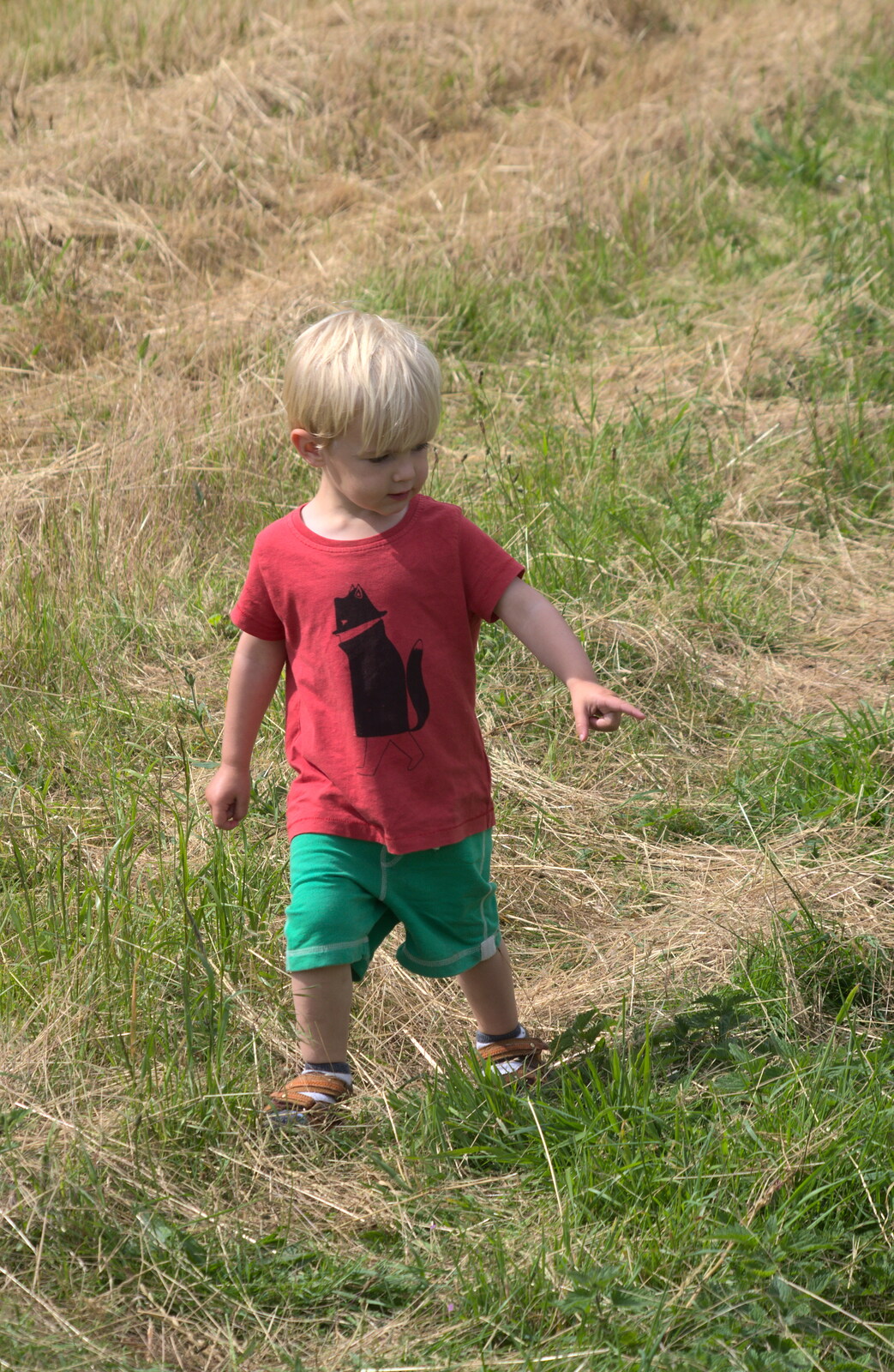 Harry in the hay from A Weekend in the Camper Van, West Harling, Norfolk - 21st June 2014