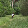 A bicycle and pony in the woods, A Weekend in the Camper Van, West Harling, Norfolk - 21st June 2014