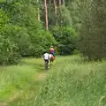 A bicycle and pony in the woods, A Weekend in the Camper Van, West Harling, Norfolk - 21st June 2014