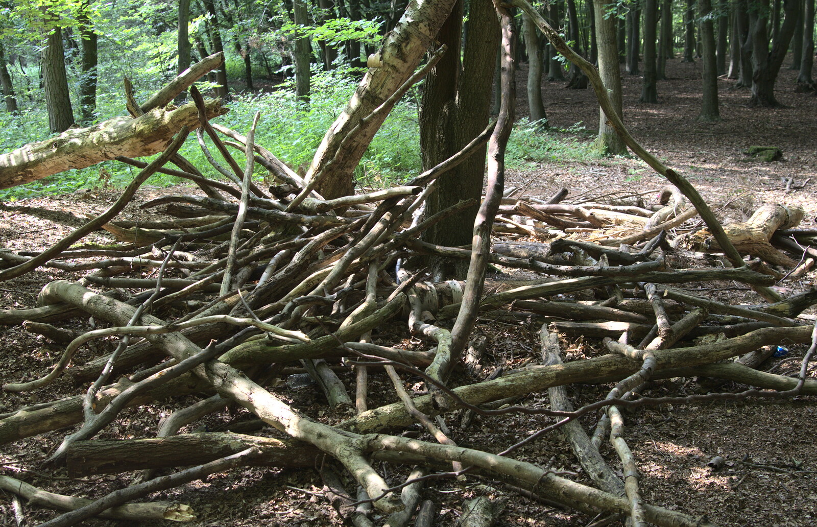 A pile of branches from A Weekend in the Camper Van, West Harling, Norfolk - 21st June 2014