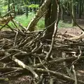 A pile of branches, A Weekend in the Camper Van, West Harling, Norfolk - 21st June 2014