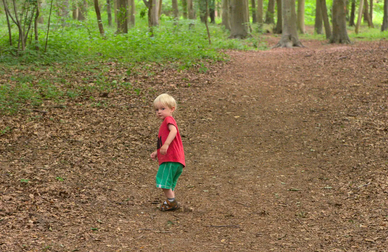 Gabes roams around the woods, from A Weekend in the Camper Van, West Harling, Norfolk - 21st June 2014